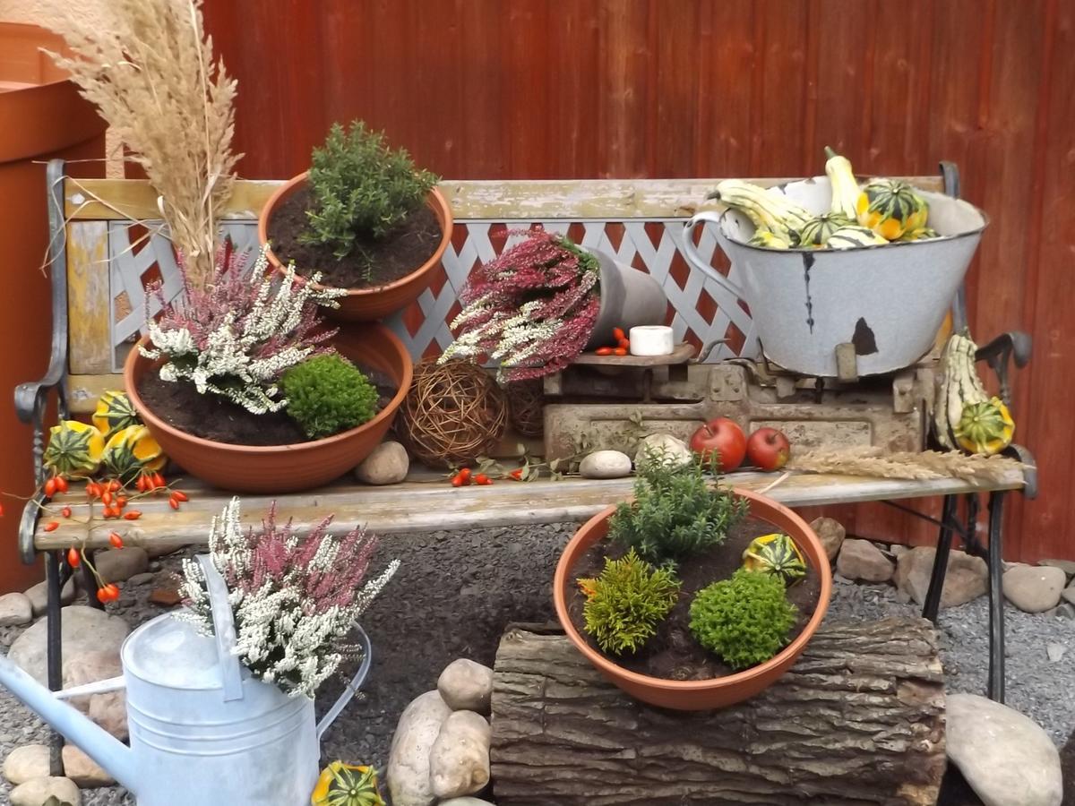 Cosy Apartment With In Pirna With Private Terrace Экстерьер фото